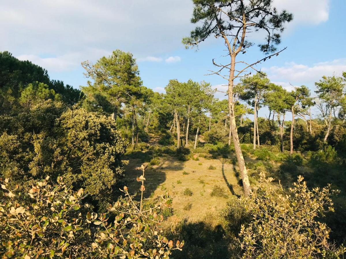 Maison Des Dunes, A 100M De La Mer Saint-Hilaire-de-Riez Eksteriør billede